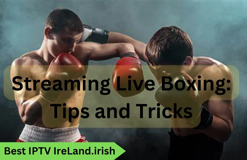 Streaming Live Boxing Tips and Tricks